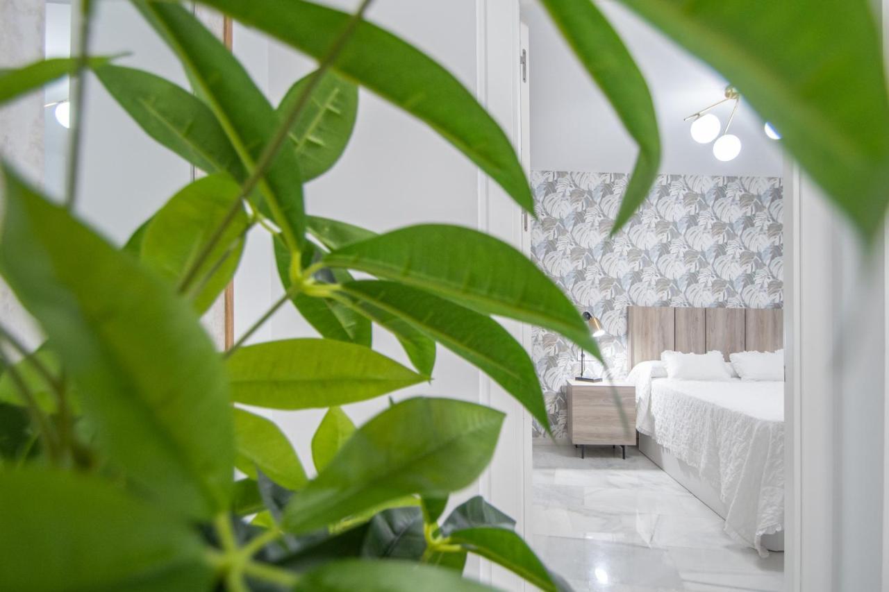 Apartamento La Magnolia De Cadiz Ngoại thất bức ảnh